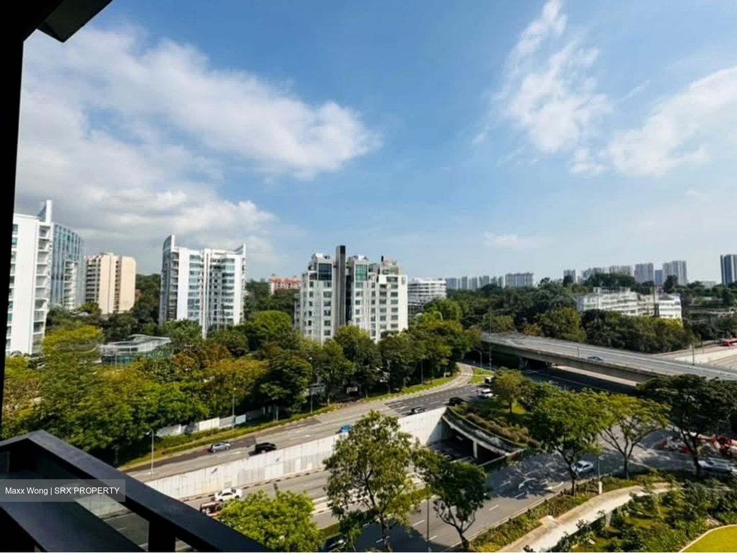 Leedon Green (D10), Condominium #610615341